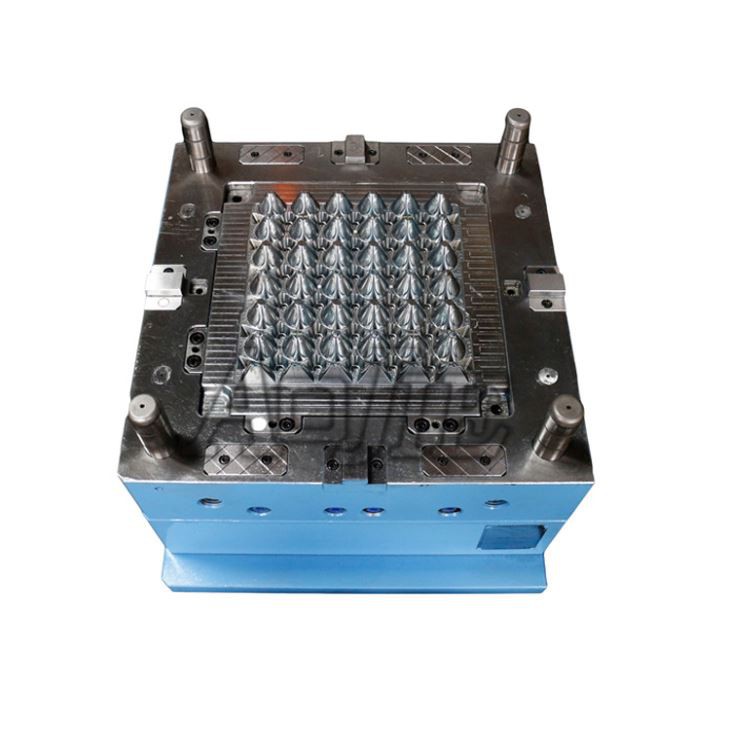 plastic injection tray mould